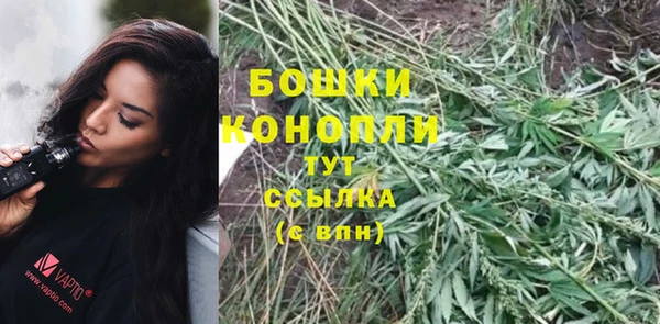 таблы Лиски