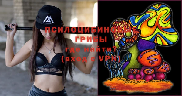 таблы Лиски