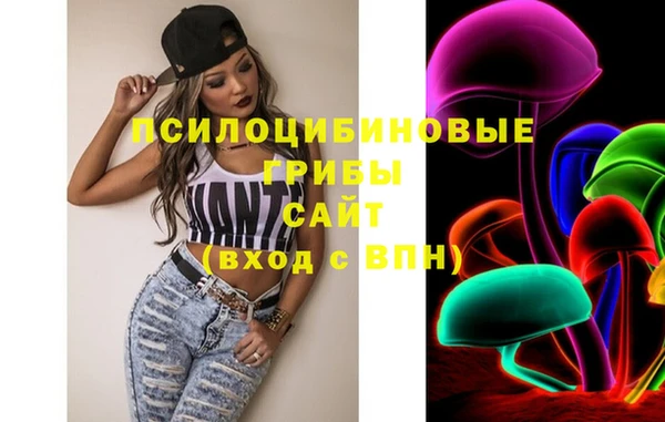 таблы Лиски