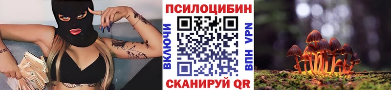 блэк спрут зеркало  Новомосковск  Галлюциногенные грибы MAGIC MUSHROOMS 
