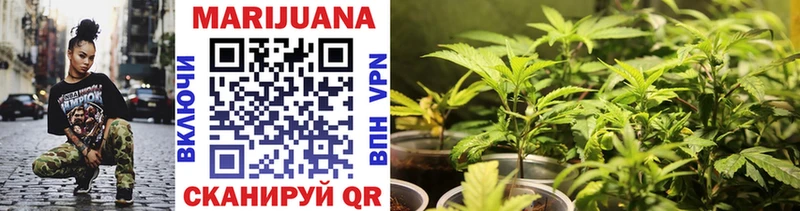 Марихуана SATIVA & INDICA  кракен маркетплейс  Новомосковск 
